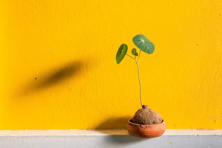 Comment trop de générosité freine la croissance de votre pratique thérapeutique ?