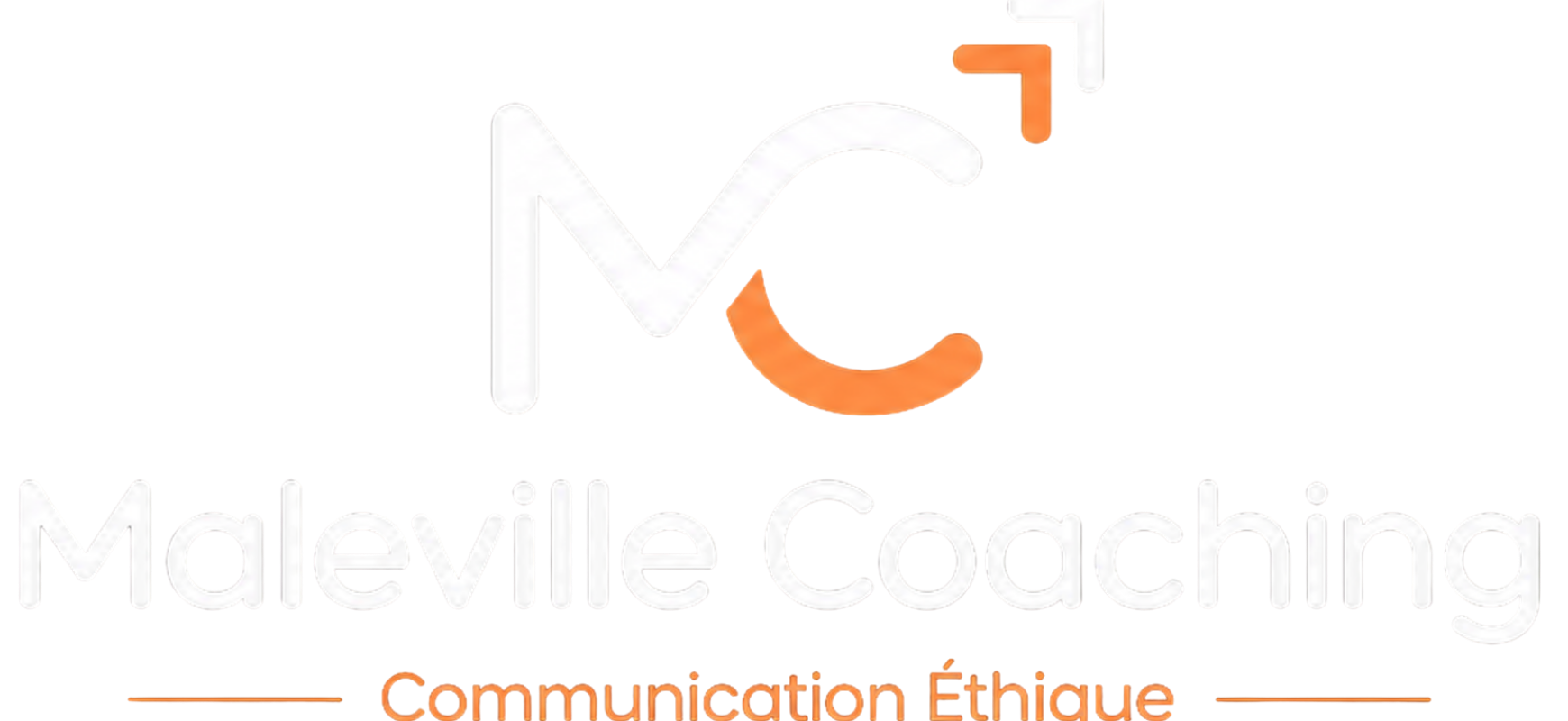 Vincent Maleville